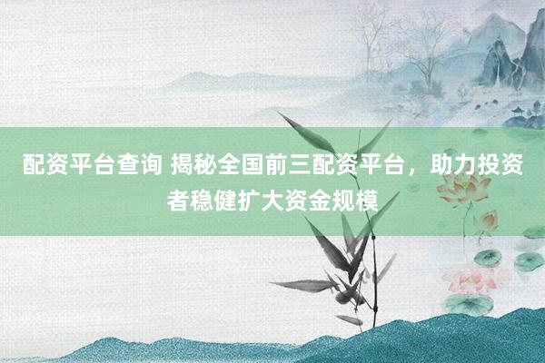 配资平台查询 揭秘全国前三配资平台，助力投资者稳健扩大资金规模