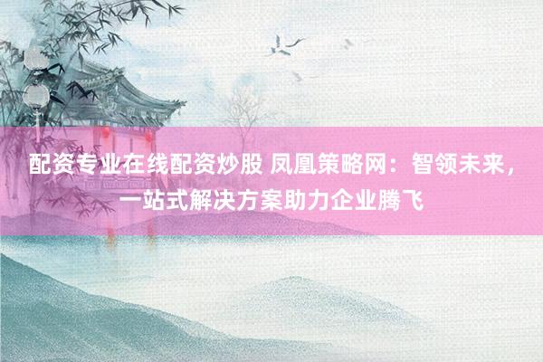 配资专业在线配资炒股 凤凰策略网：智领未来，一站式解决方案助力企业腾飞