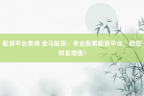 配资平台查询 金马配资：专业股票配资平台，助您财富增值！