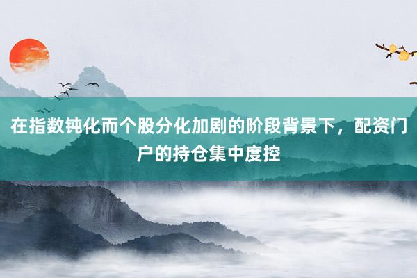 在指数钝化而个股分化加剧的阶段背景下，配资门户的持仓集中度控