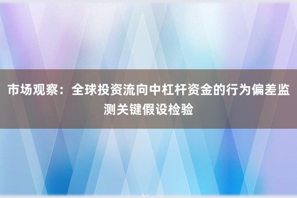 市场观察：全球投资流向中杠杆资金的行为偏差监测关键假设检验