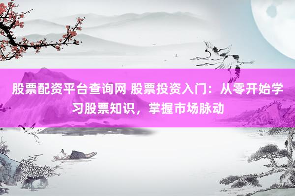 股票配资平台查询网 股票投资入门：从零开始学习股票知识，掌握市场脉动