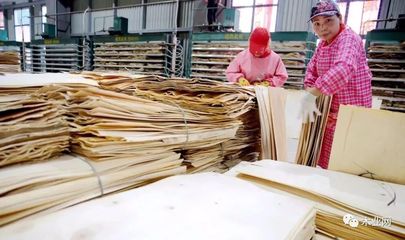 湖北郧西亿德木业无醛家具板生产线正式投产